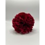 Clavel Burdeos