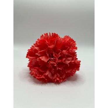 Clavel Coral