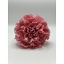 Clavel Rosa Nude