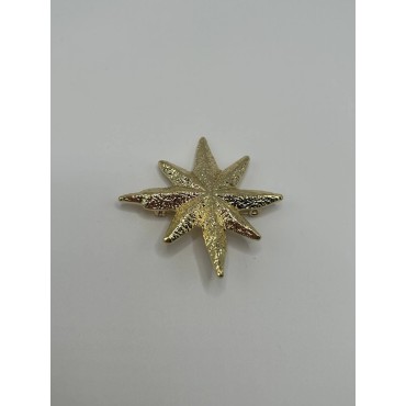 Broche Estrella Fugaz