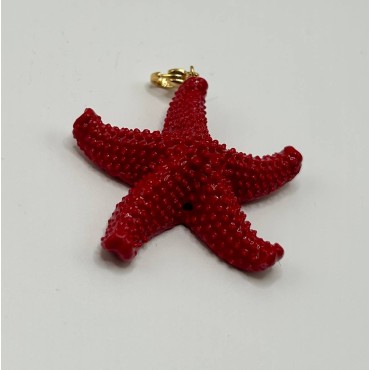 Estrella de Mar Grande