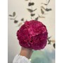 Ramillete Claveles Rosa