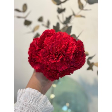 Ramillete Claveles Rojo