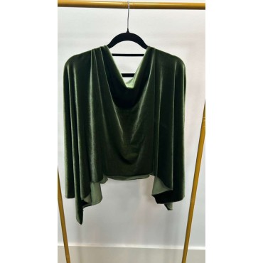 CAPA DE TERCIOPELO VERDE SECO